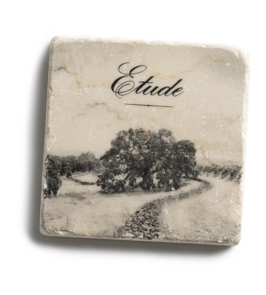 Marble coaster featuring a sepia-toned vineyard scene and the word "Etude".