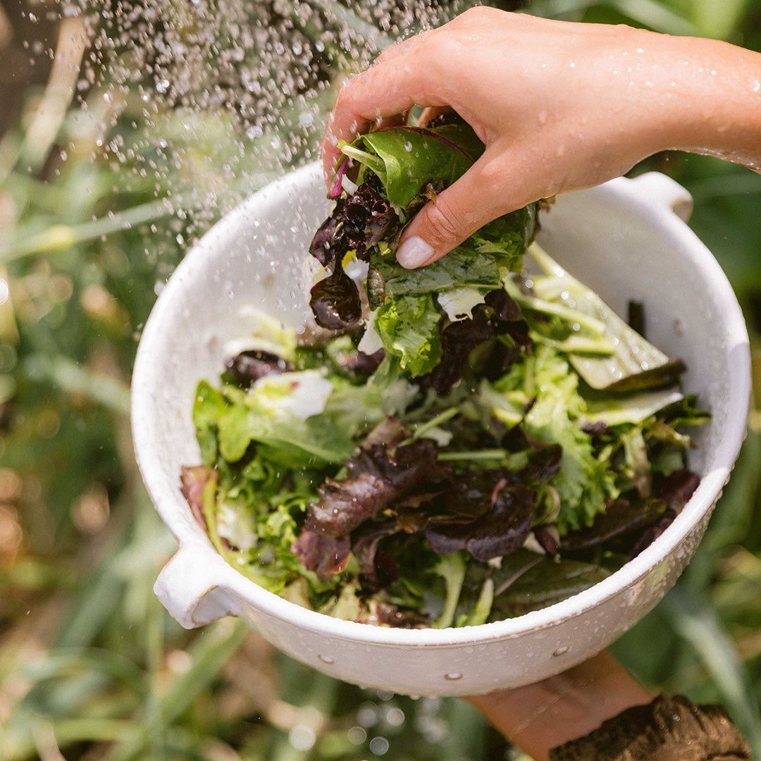 Load video: Farmers Market Salad